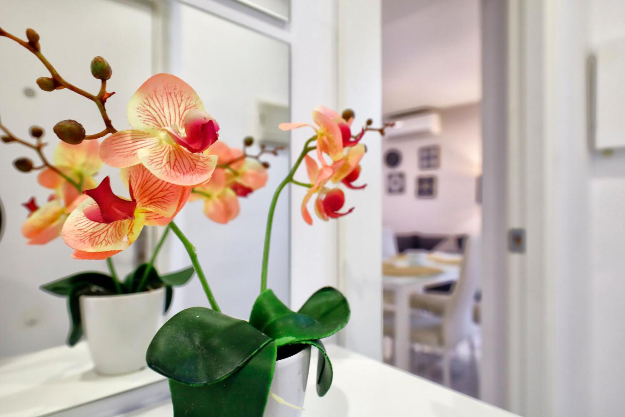 Encanto En La Juderia: Apartamento Con Patio Кордоба Екстериор снимка